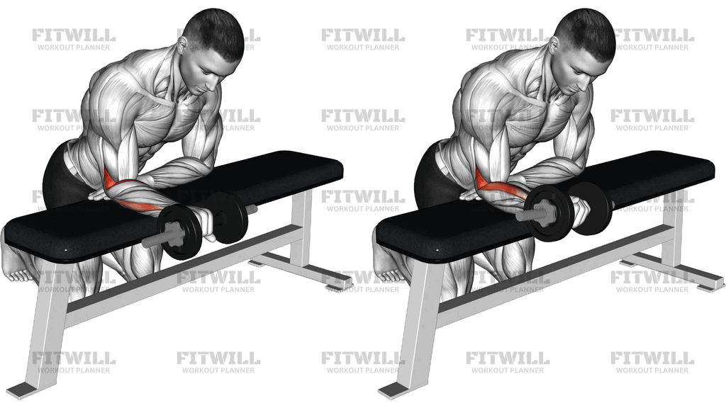 Dumbbell Wrist Rotation