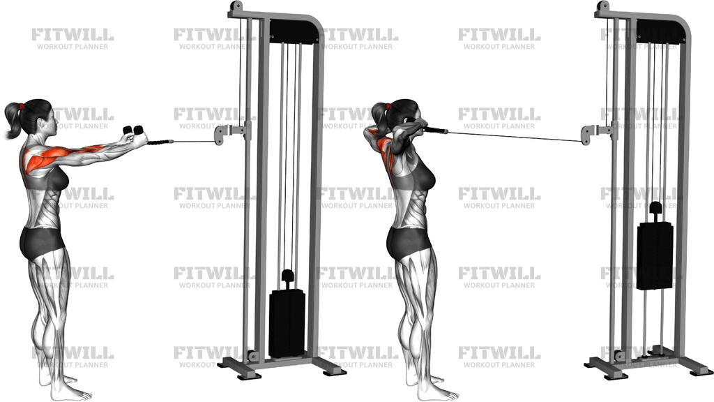 Cable Standing Supinated Face Pull (With Rope)