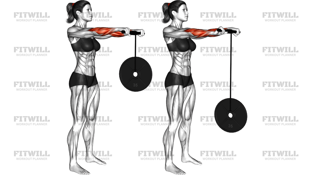 Wrist Roller