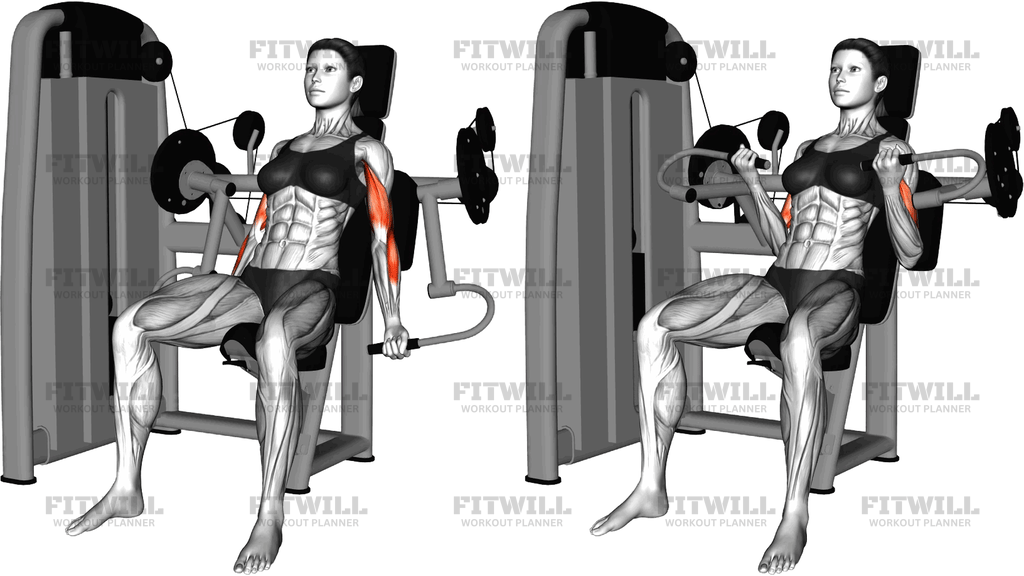 Lever Biceps Curl