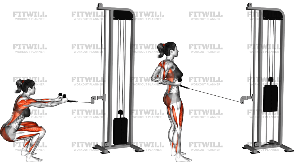 Cable Squat Row (With Rope Attachment)