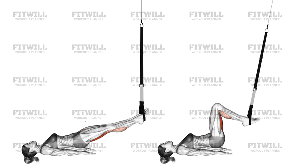 Suspension Leg Curl