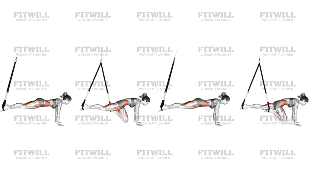 Suspension Mountain Climber