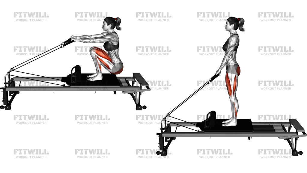 Pilates Machine Russian Squat