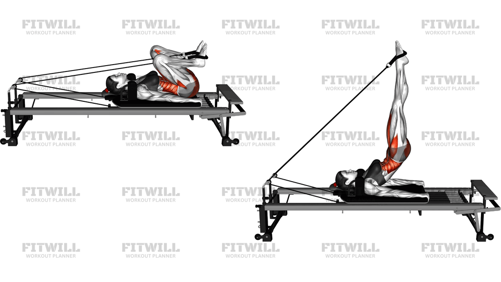 Pilates Machine Long Spine