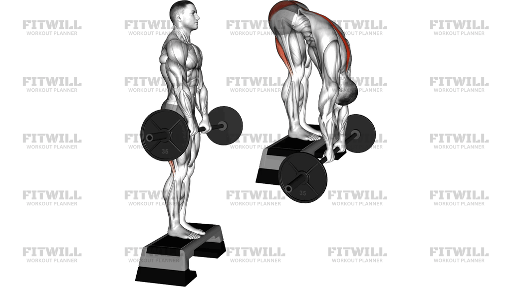 Barbell Jefferson Curl