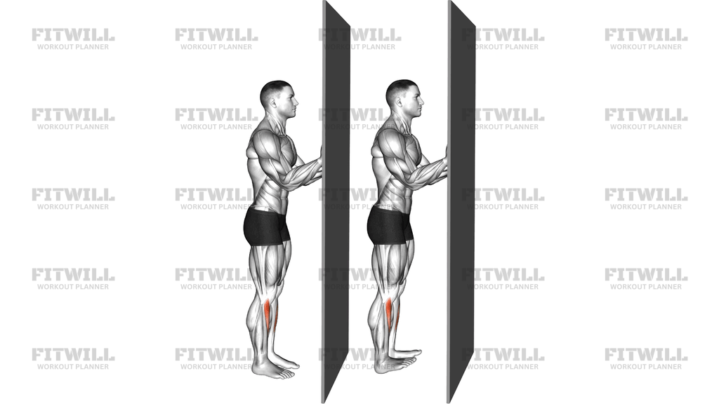 Standing Floor Tibialis Raise Wall Supported