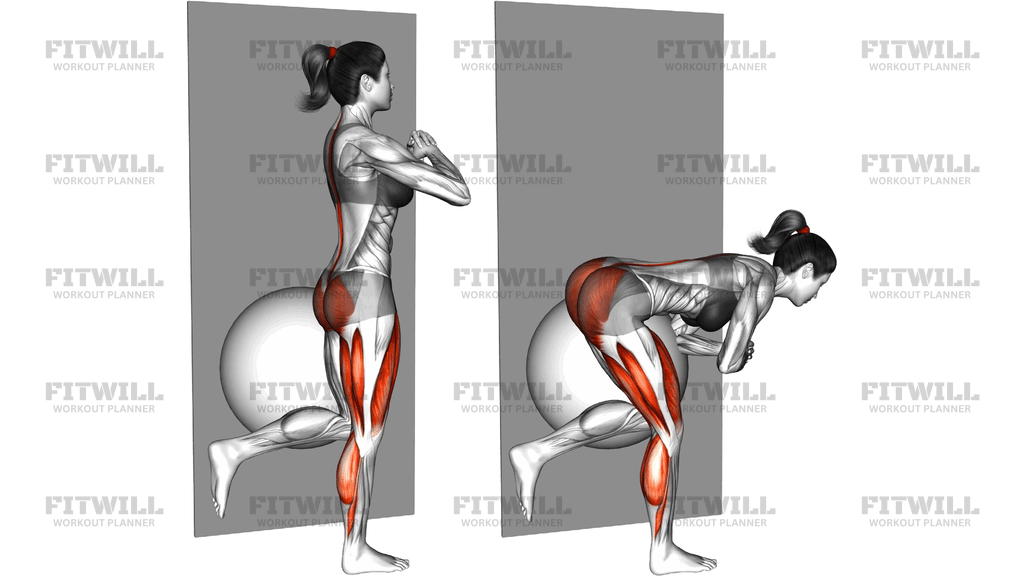 Bodyweight Single Leg Deadlift Against Ball