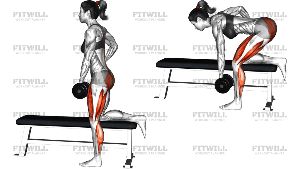 Dumbbell Single Leg Romanian Deadlift On Bench