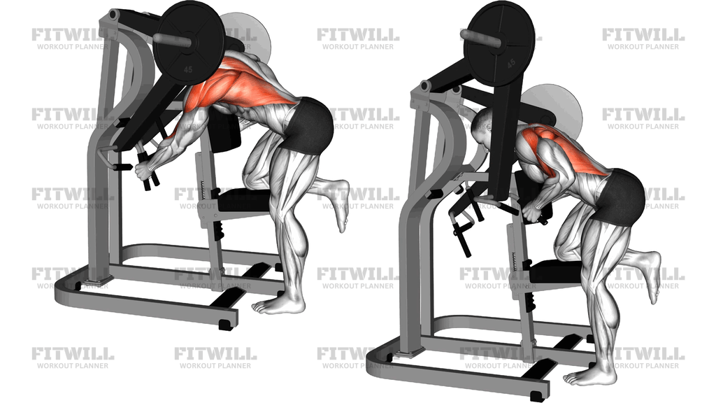 Lever Bent Over Single Arm Lats Focused Row