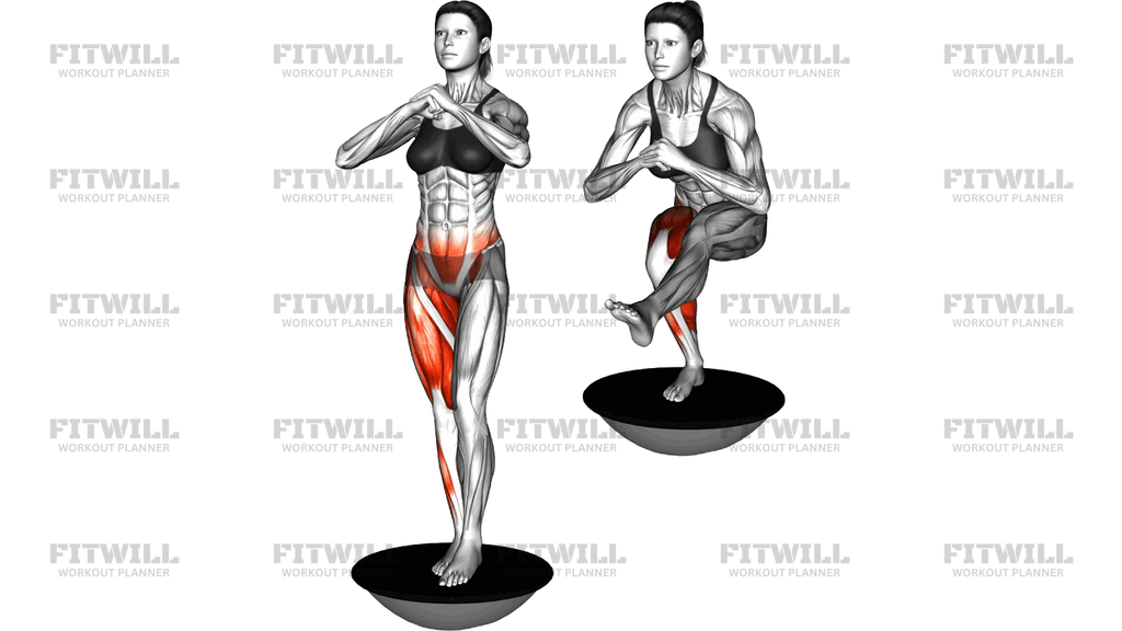 Bosu Ball Single Leg Squat