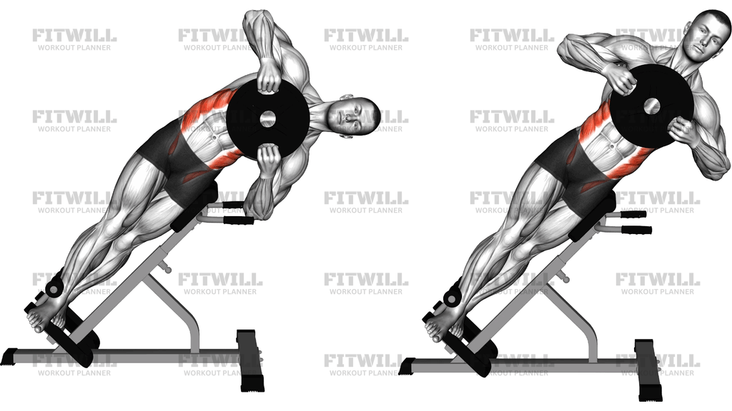 Weighted Plate 45 Degrees Side Bend