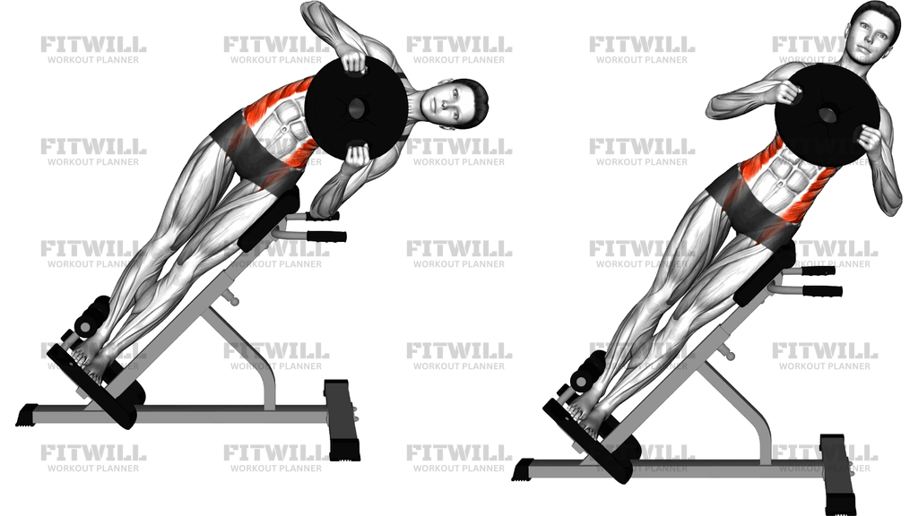 Weighted Plate 45 Degrees Side Bend
