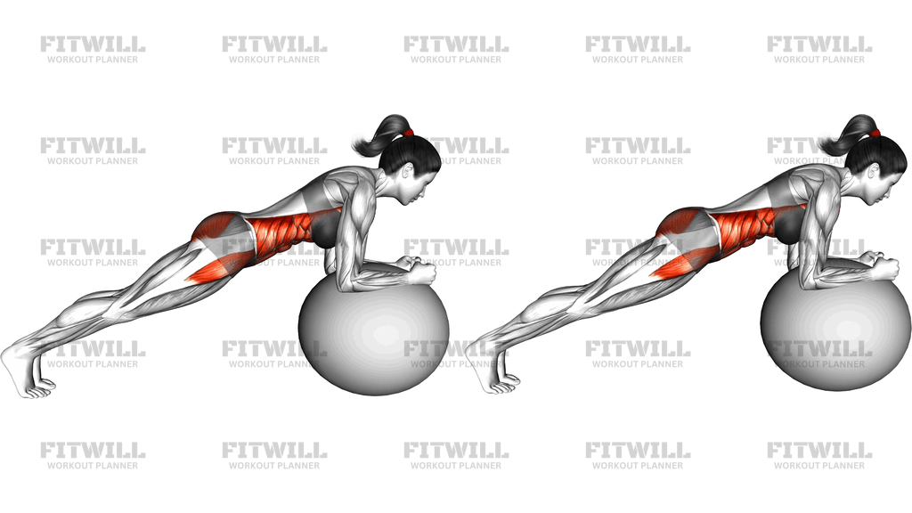 Stability Ball Front Plank