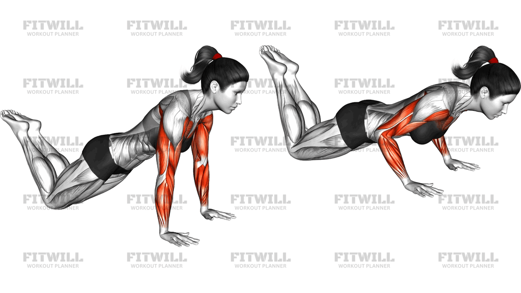 Kneeling Plyo Push Up