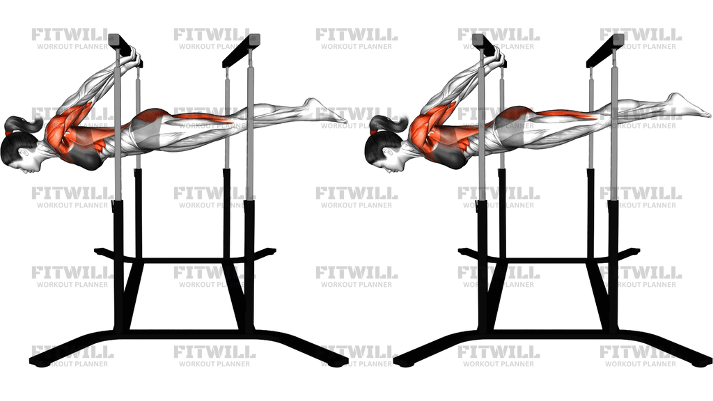 Back Lever