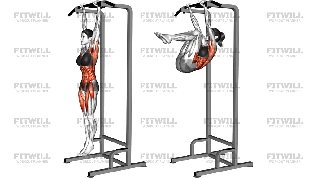 Hanging Tucked Front Lever Hold
