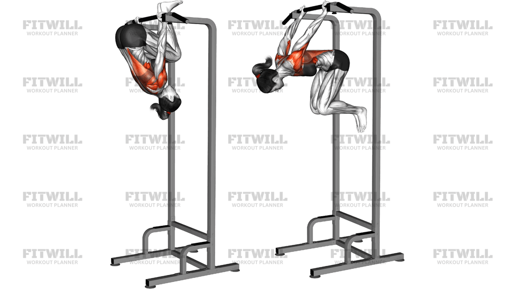 Back Lever Tuck