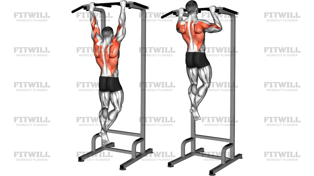 Explosive Pull Up