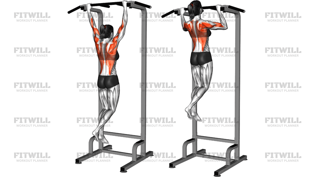Explosive Pull Up