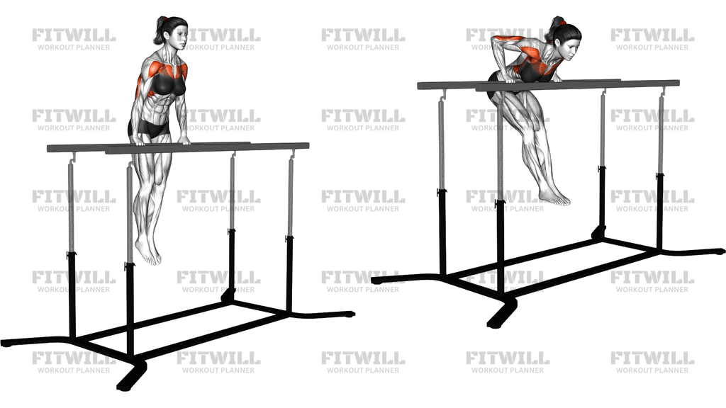 Chest Dip On Straight Bar