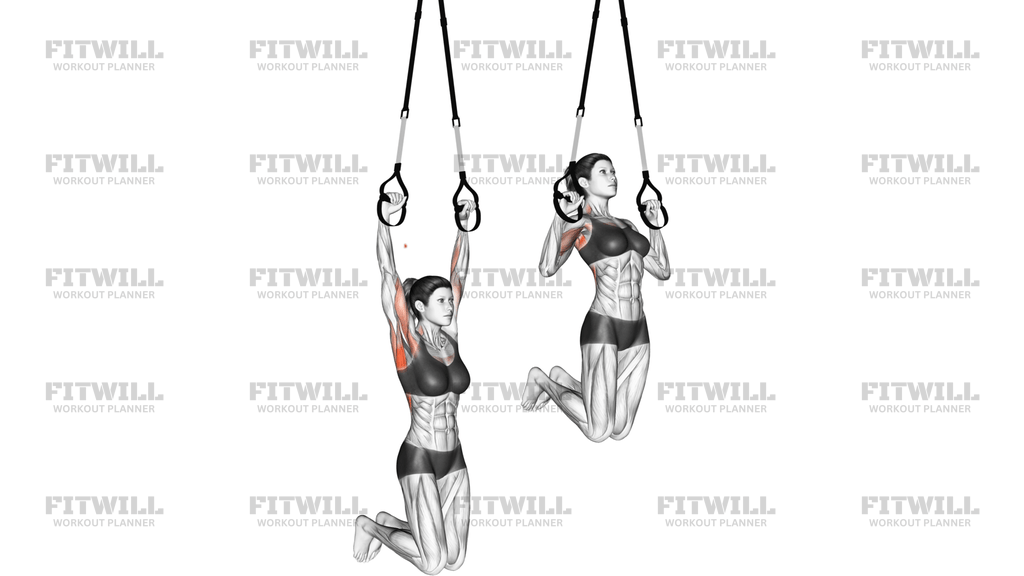 Závěsný Přítah (Suspension Pull-Up)