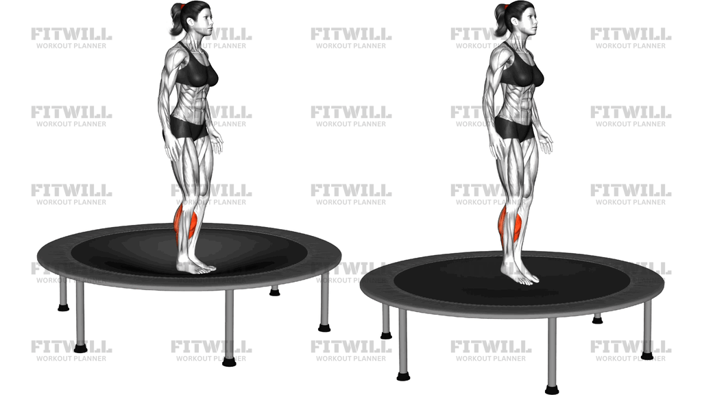 Elastic Bed Toe Jump