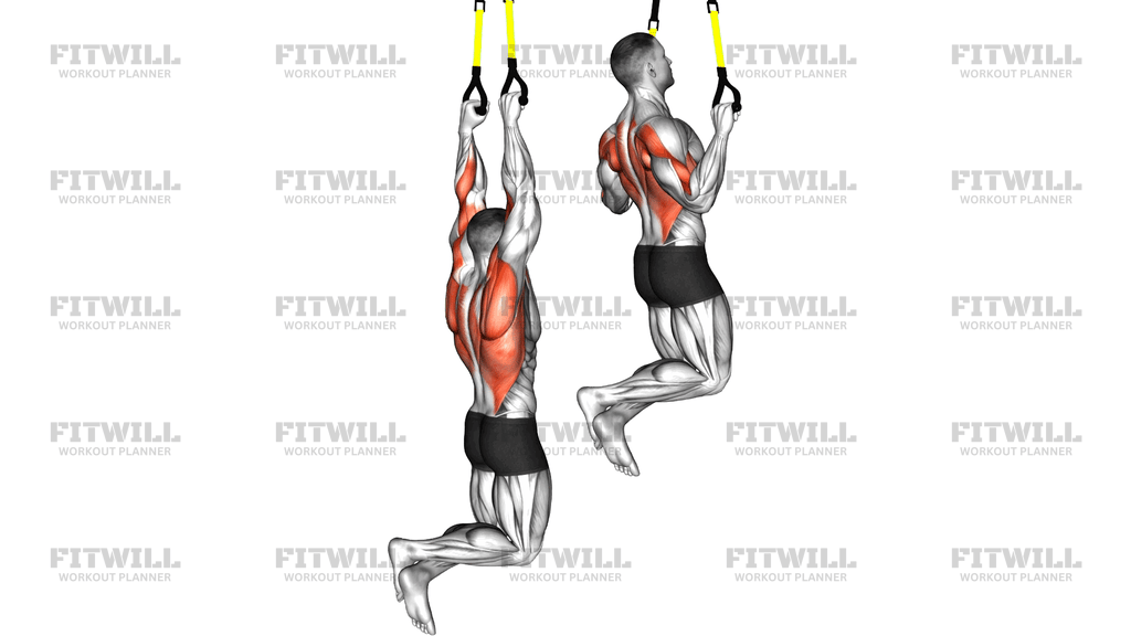 Suspender Pull Up