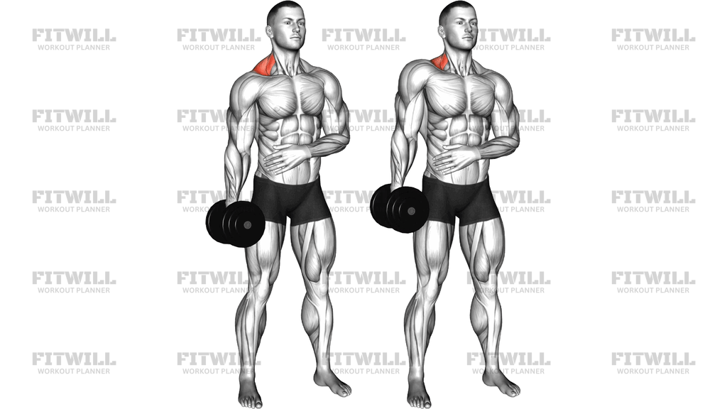 Dumbbell Single Arm Shrug