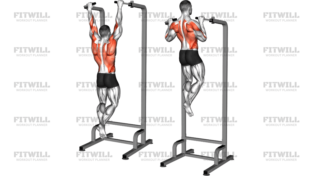 Eccentric Single Arm Pull Up