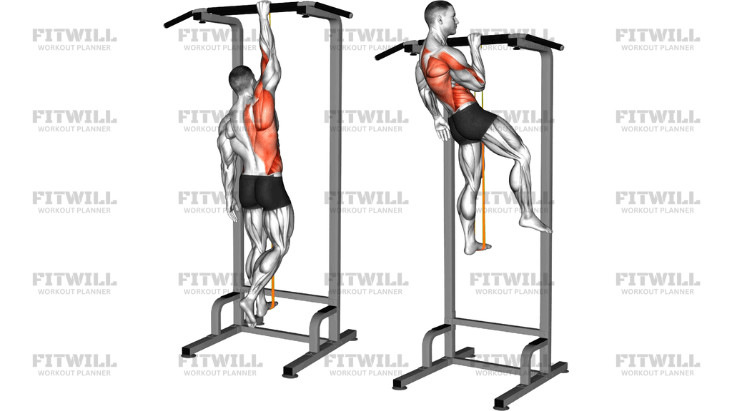 Assistert Enharms Pull-up Med Motstandsgummi