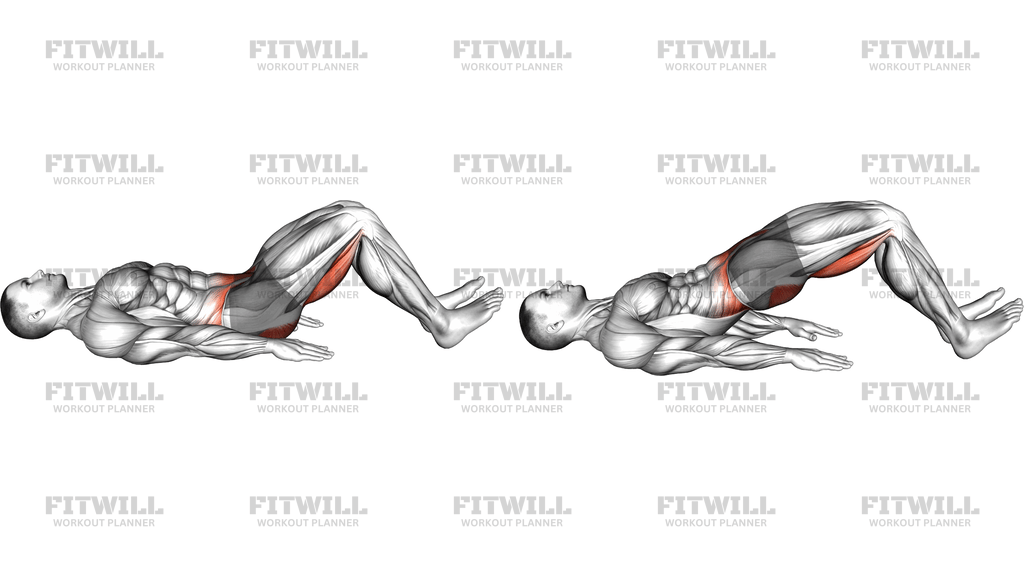 Hamstring Bridge (Version 2)