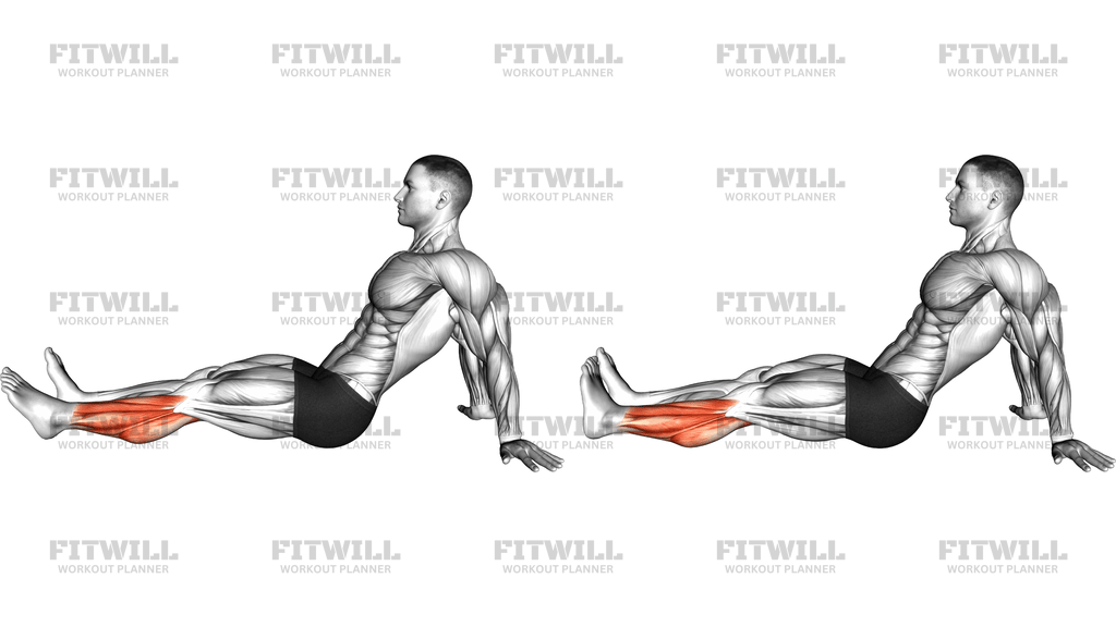 Seated Single Leg Foot Circle