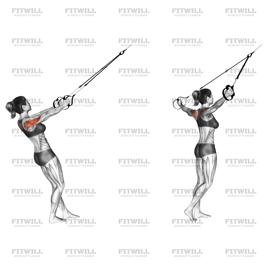Suspension Reverse Fly Exercise Guide, Video, Techniques, Benefits