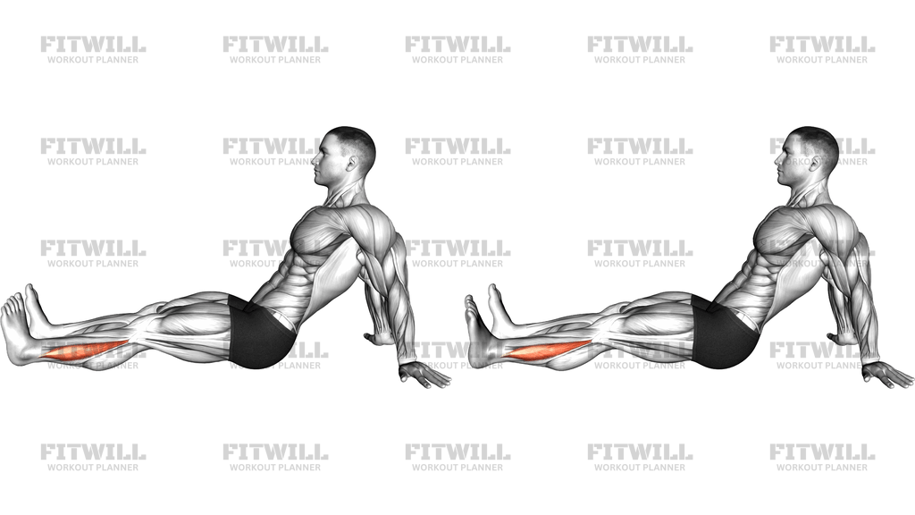 Seated Single Leg Foot Side To Side