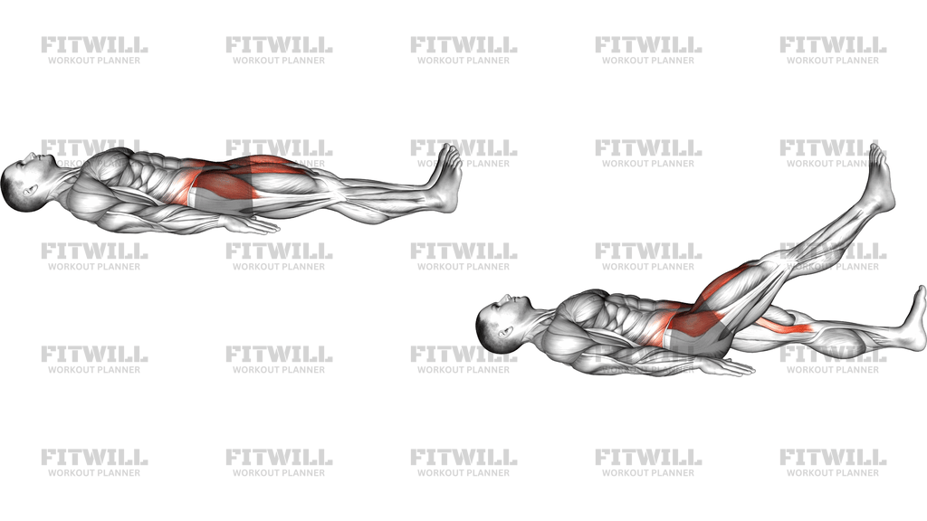 Lying Single Leg Raise