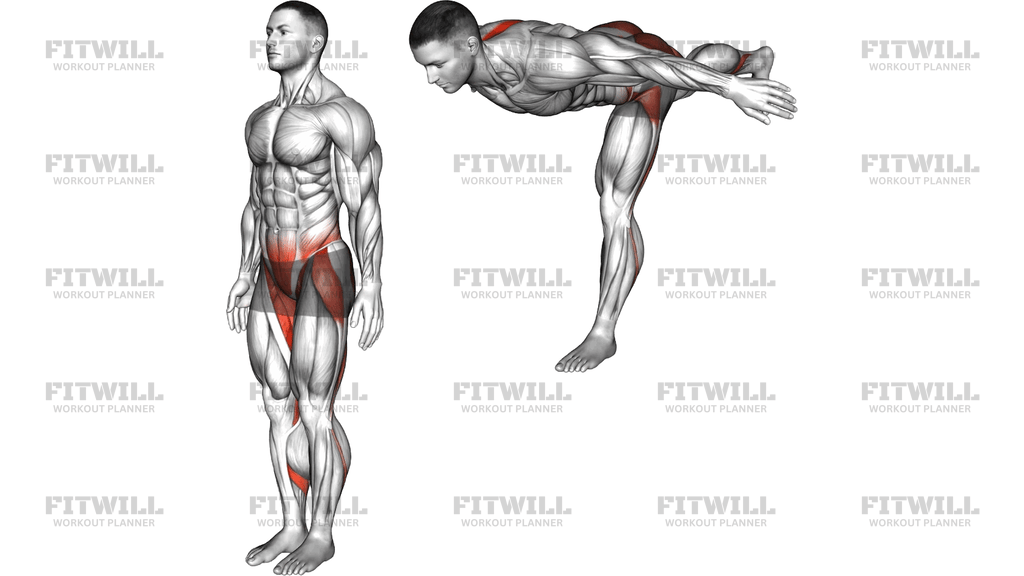 Bodyweight Single Leg Deadlift Hold