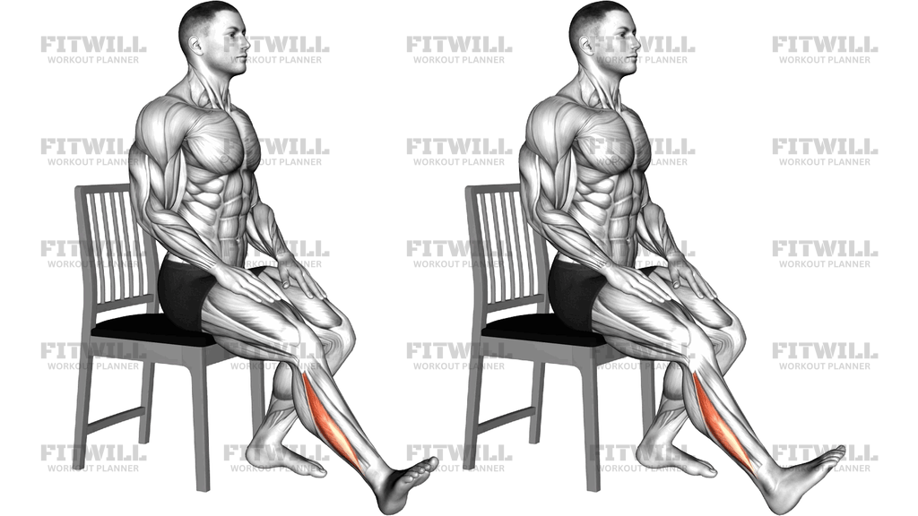 Seated Single Leg Foot Side To Side