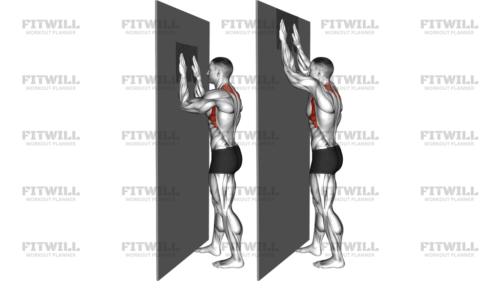 Standing Wall Serratus Slide With Towel