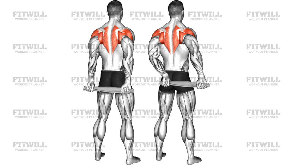 Standing External Rotation Behind Back With Towel