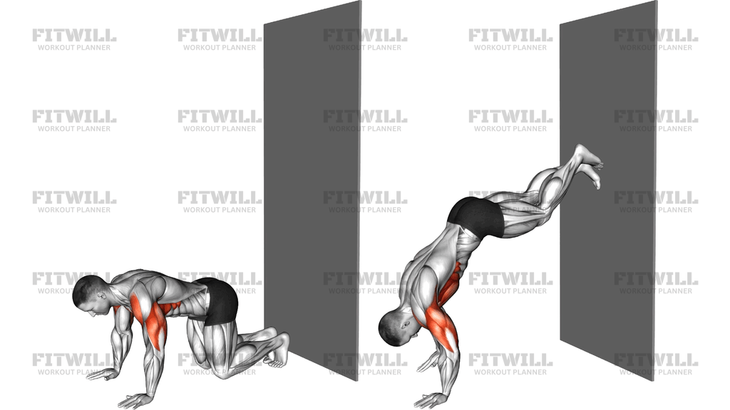 Wall Walks To Handstand Push Up 3 Times
