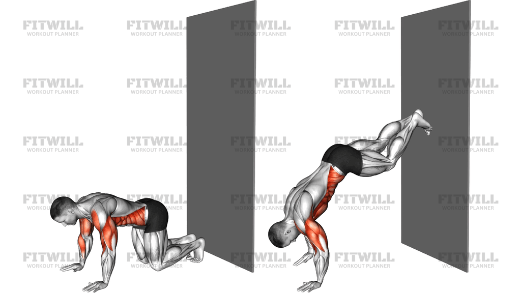 Wall Walks To Handstand Shoulder Tap