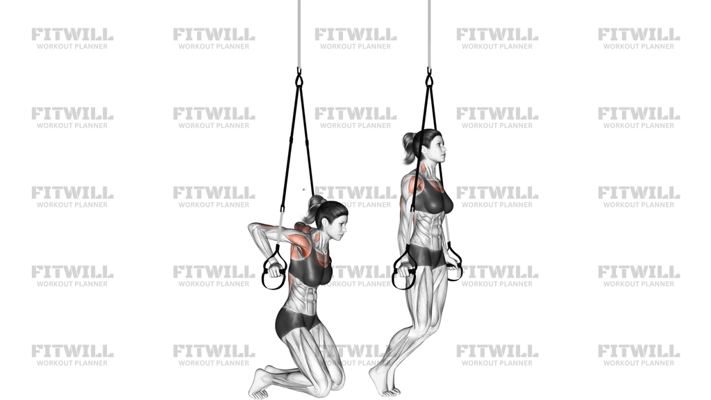 Suspension Self Assisted Chest Dip