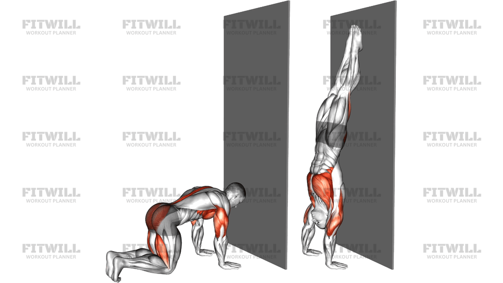 Hanstand Heel Pull