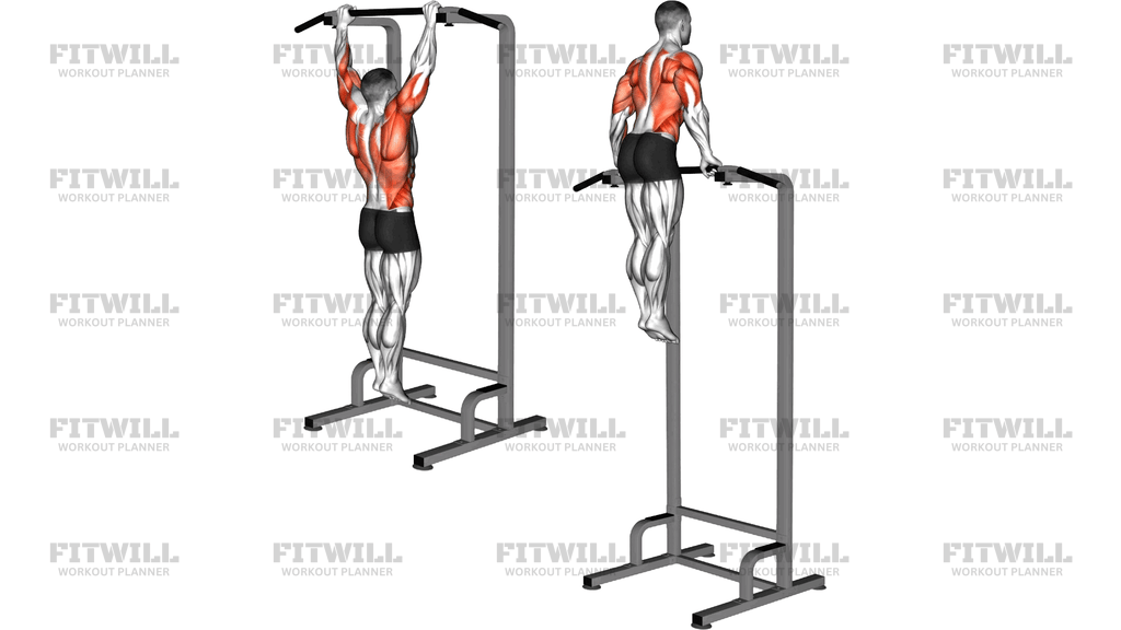 Negative Muscle Up