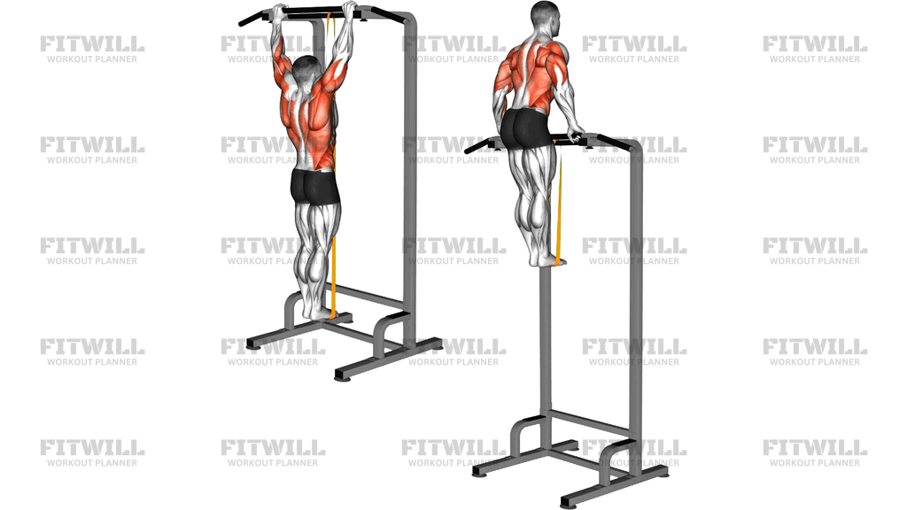 Resistance Band Assisted Muscle Up