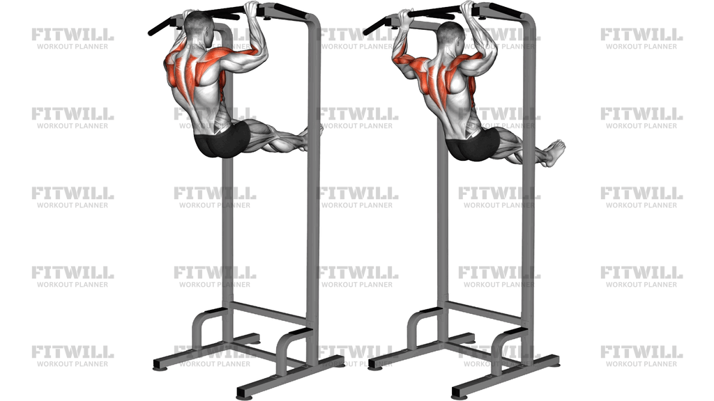 Scapular Pull Up Swing