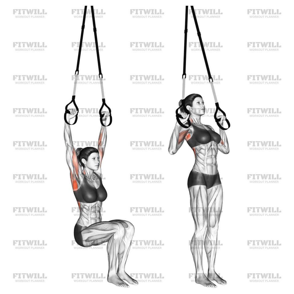 Suspension pull ups sale