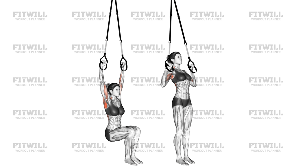 Suspension Self Assisted Pull-Up
