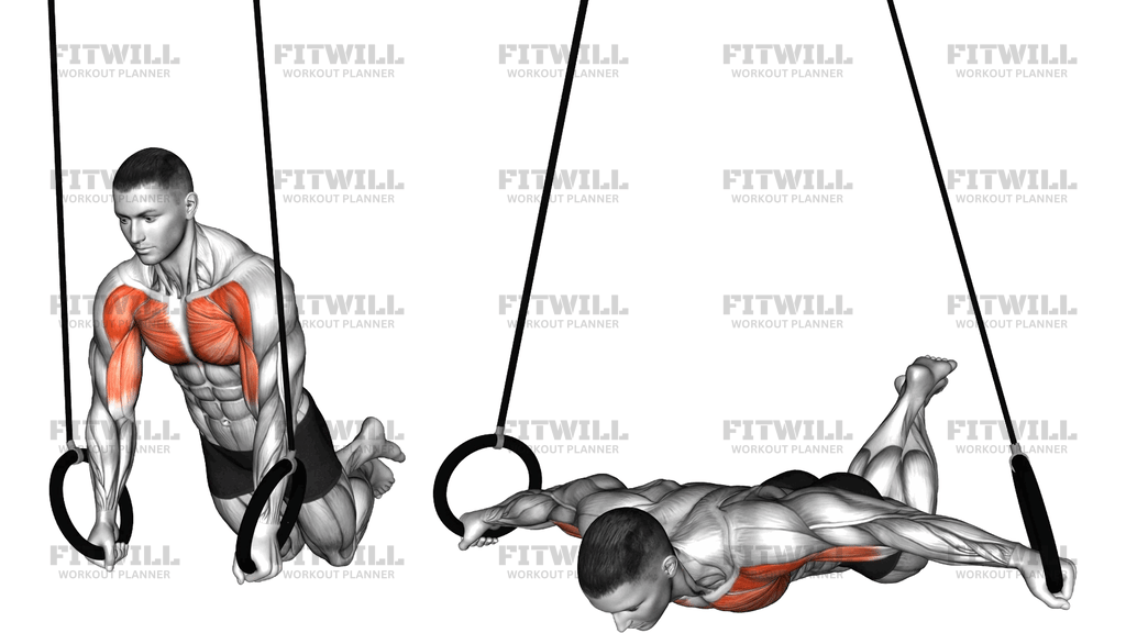 Ring Long Arms Push Up Hold